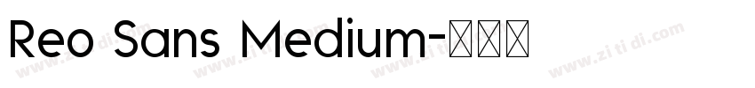 Reo Sans Medium字体转换